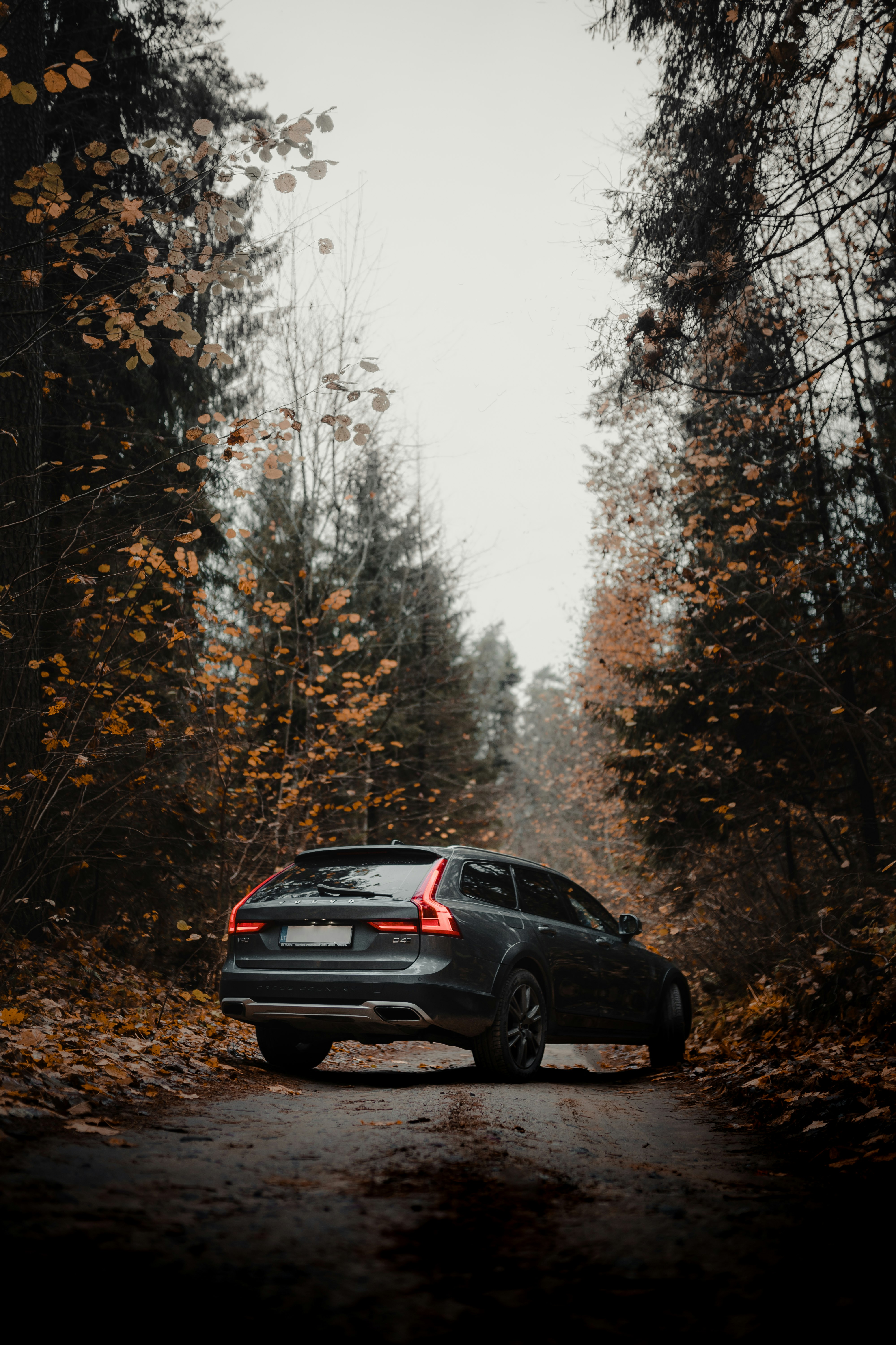 black sedan on forest during daytime